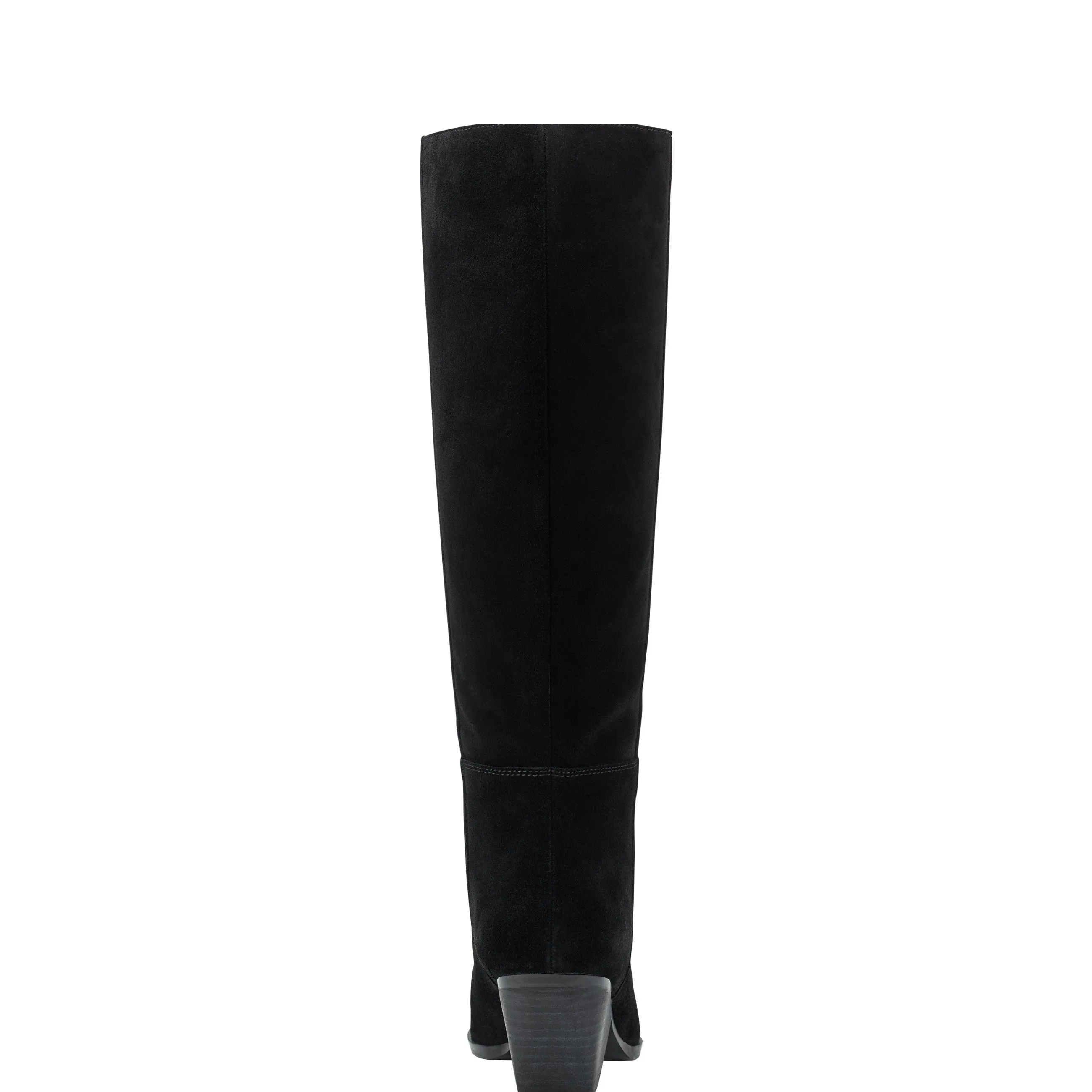 Challi Pointy Toe Boot