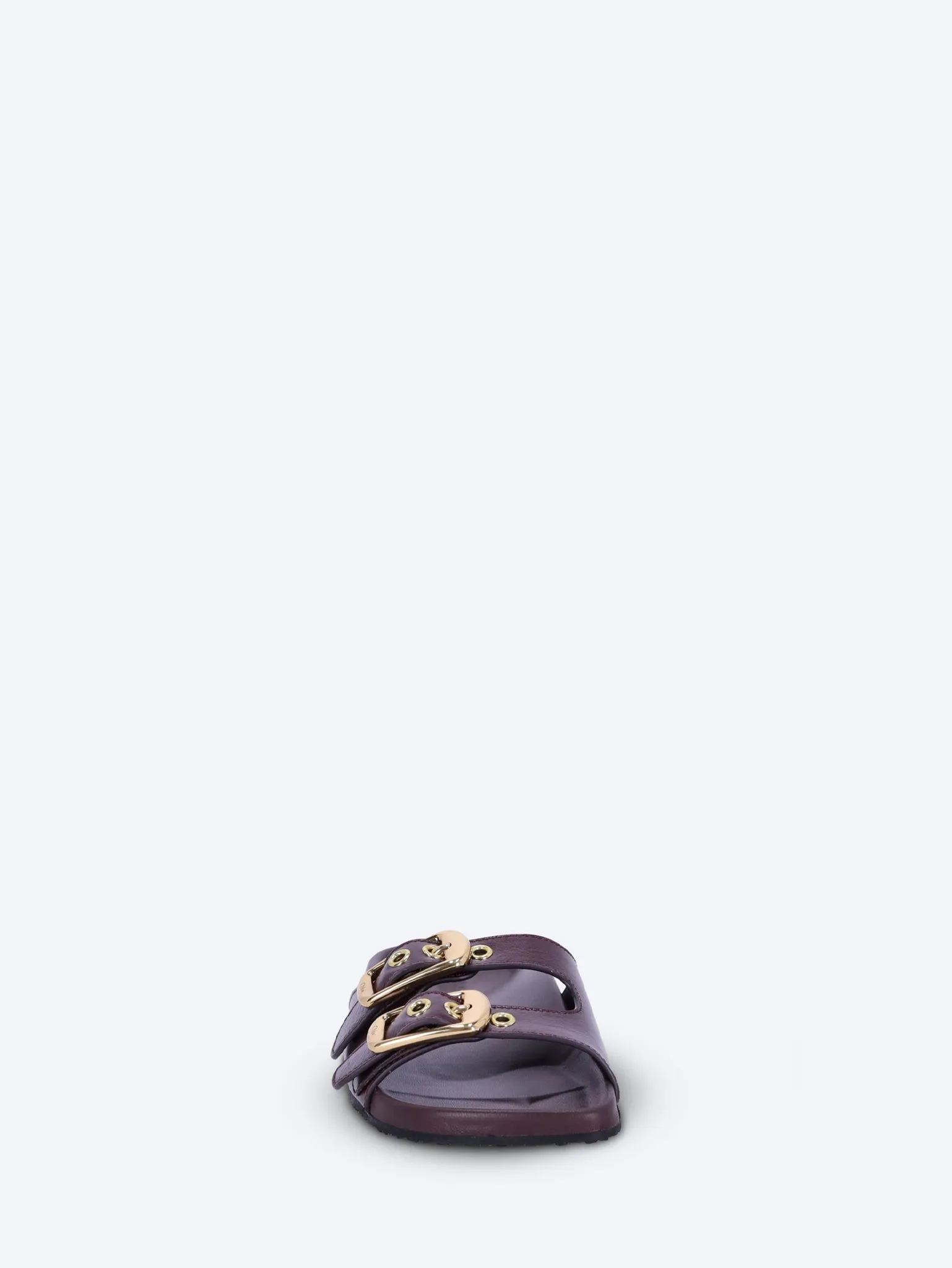 Polly shiny leather slides